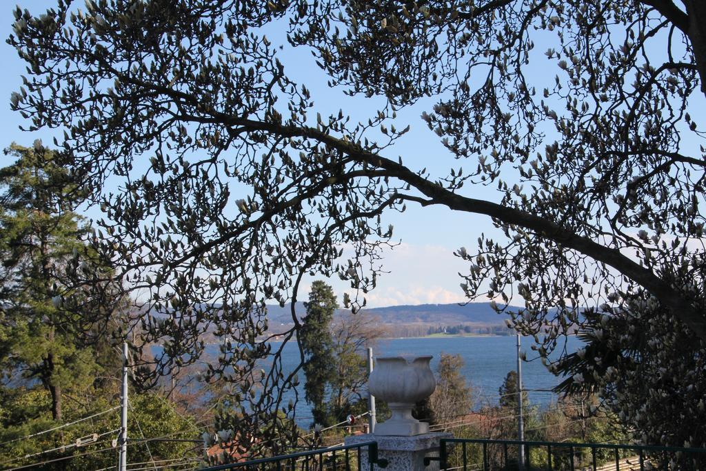 La Ciliegia Bianca Bed and Breakfast Belgirate Exterior foto