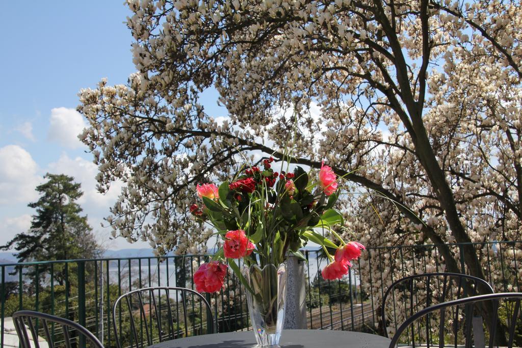 La Ciliegia Bianca Bed and Breakfast Belgirate Exterior foto